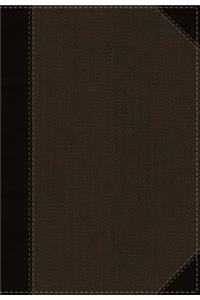 NKJV, Cultural Backgrounds Study Bible, Imitation Leather, Brown, Indexed, Red Letter Edition