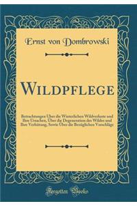 Wildpflege: Betrachtungen Ã?ber Die Winterlichen Wildverluste Und Ihre Ursachen, Ã?ber Die Degeneration Des Wildes Und Ihre VerhÃ¼tung, Sowie Ã?ber Die BezÃ¼glichen VorschlÃ¤ge (Classic Reprint)