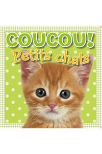 Coucou! Petits Chats