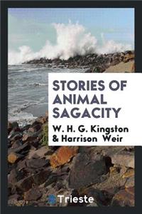 Stories of Animal Sagacity