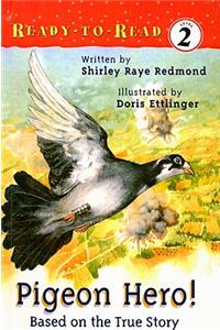Pigeon Hero!