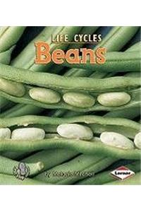 Beans
