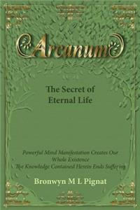 Arcanum The Secret of Eternal Life