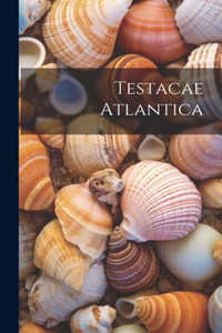 Testacae Atlantica