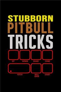 Stubborn Pitbull Tricks