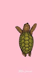 Turtle Journal
