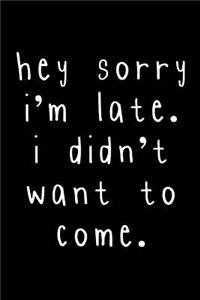 Hey, Sorry I'm late. I didn't want to come
