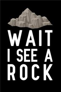 Wait I See a Rock