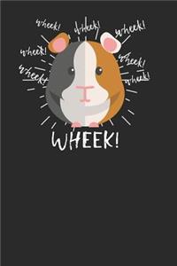 Wheek Guinea Pig