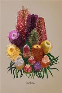 Banksia