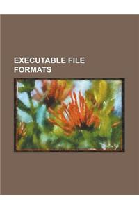 Executable File Formats