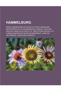 Hammelburg: Kapellenkreuzweg Kloster Altstadt, Bonnland, Infanterieschule, Reussenburg, Diebach, Schloss Saaleck, Bank Schilling &