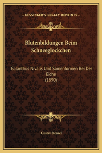 Blutenbildungen Beim Schneeglockchen