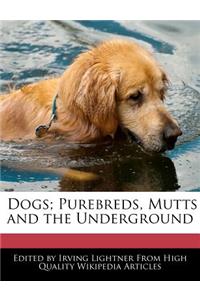 Dogs; Purebreds, Mutts and the Underground