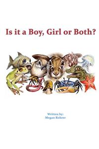 Is it a Boy, Girl or Both?