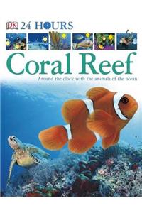 Coral Reef: Around the Clock with the Animals of the Ocean