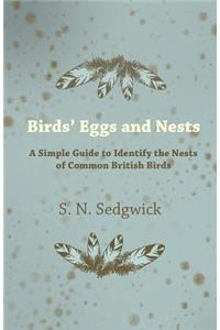 Birds' Eggs and Nests - A Simple Guide to Identify the Nests of Common British Birds