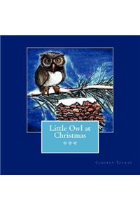 Little Owl at Christmas