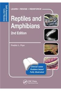 Reptiles and Amphibians