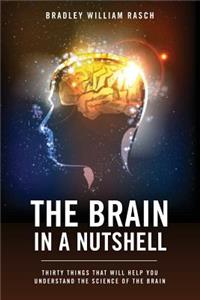 Brain in a Nutshell