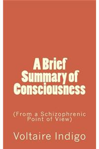 A Brief Summary of Consciousness