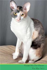 Cornish Rex Cat Presents