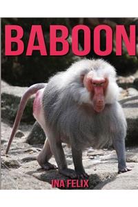 Baboon