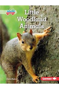 Little Woodland Animals