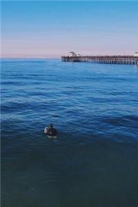 Surfing by the Pier