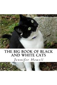 The Big Book of Black and White Cats