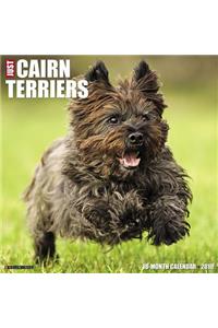 Just Cairn Terriers 2019 Wall Calendar (Dog Breed Calendar)