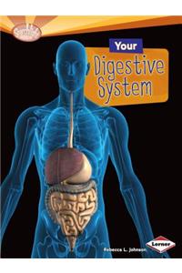 Your Digestive System