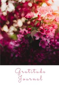 My Gratitude Journal