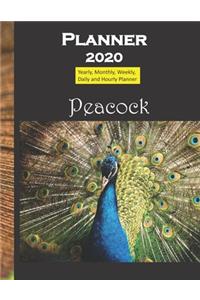 Peacock Planner 2020 Large