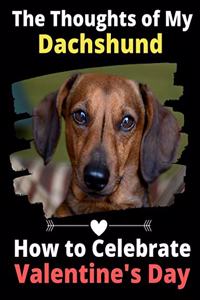 Thoughts of My Dachshund
