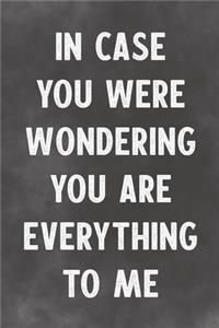 In Case You Were Wondering You Are Everything To Me