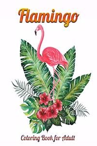 Flamingo Coloring Book for Adult