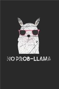 Llama Notebook