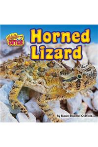 Horned Lizard
