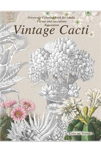 Vintage Cacti