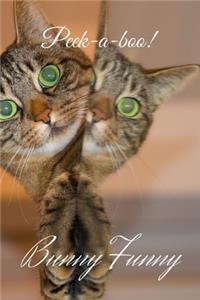 Funny Cat
