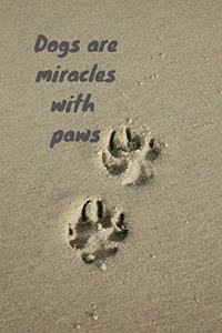 Dogs are miracles with paws