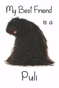 My best Friend is a Puli