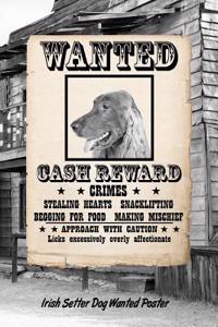 Irish Setter Dog Wanted Poster