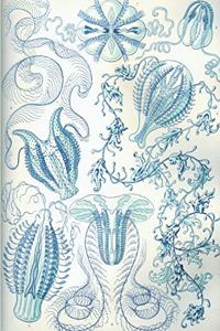 Haeckel Scientific Biological Art Notebook