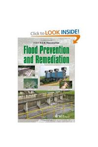 Flood Prevention and Remediation