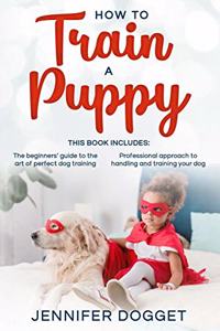 How to train a puppy