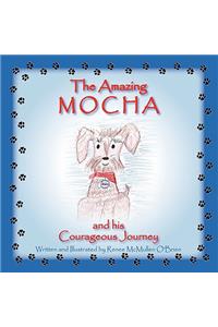 Amazing Mocha and his Courageous Journey