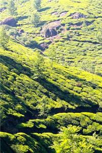 View of a Tea Plantation Journal