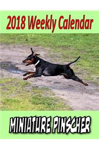 2018 Weekly Calendar Miniature Pinscher